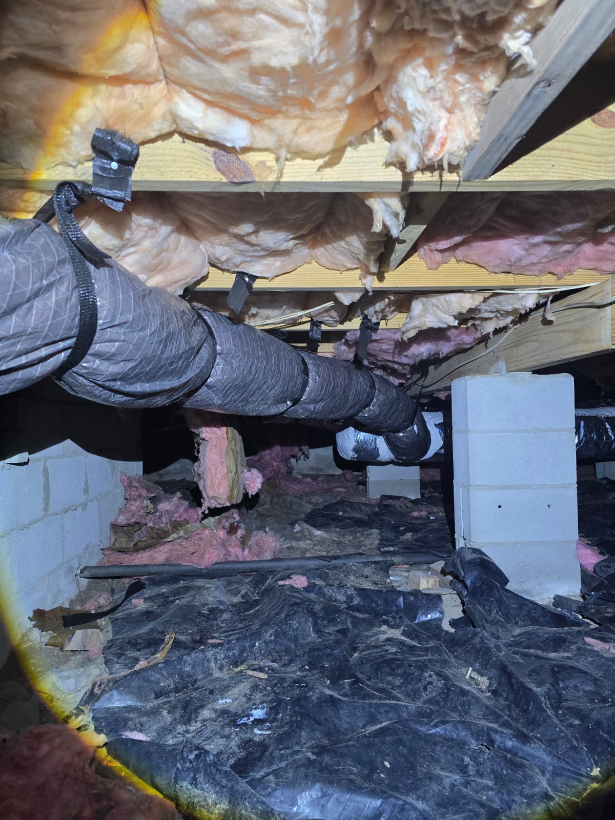 Insulation Removal - Image